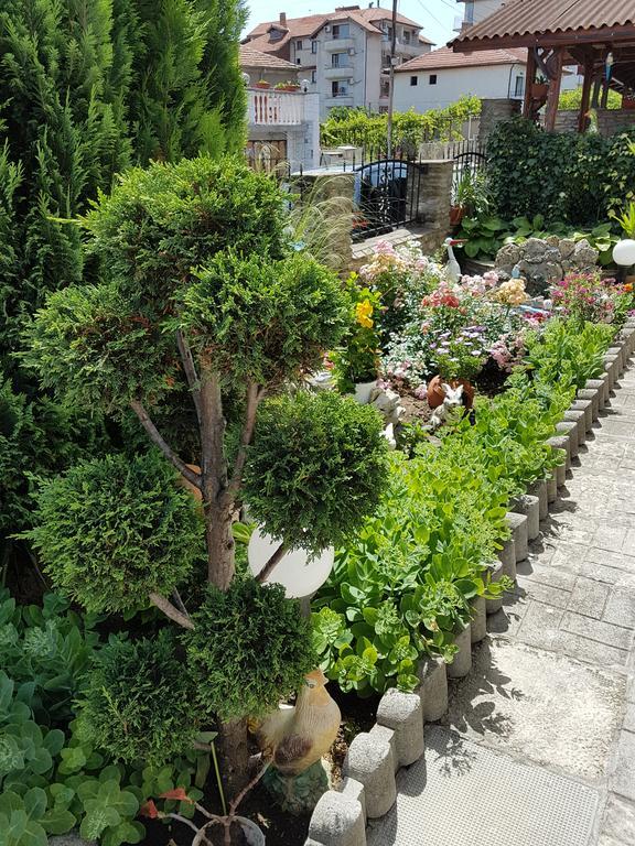 אובזור Guest Rooms Denitsa מראה חיצוני תמונה